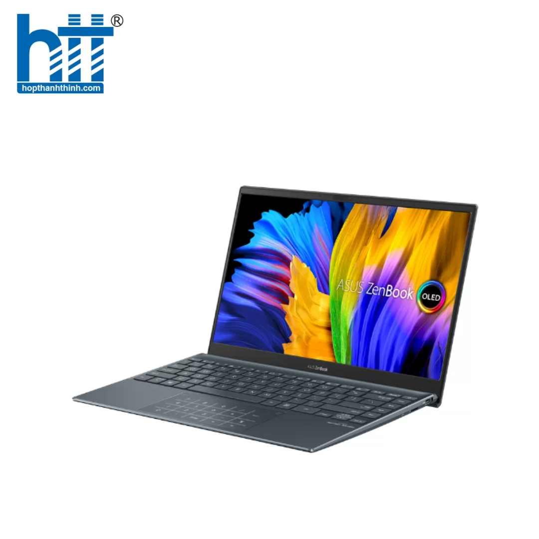 Hợp thành thịnh - Laptop ASUS ZenBook UX325EA-KG538W