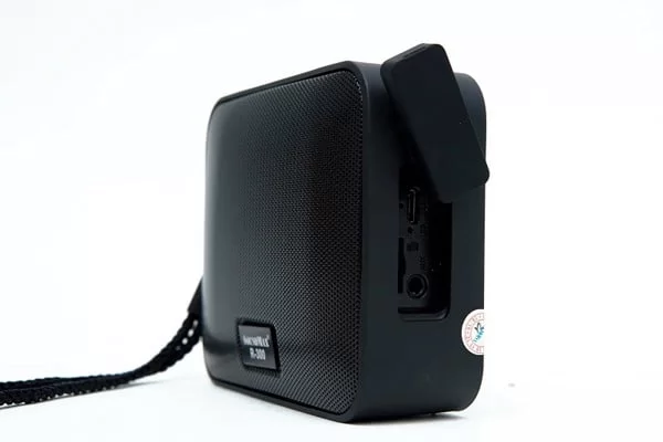 loa SoundMax R-300