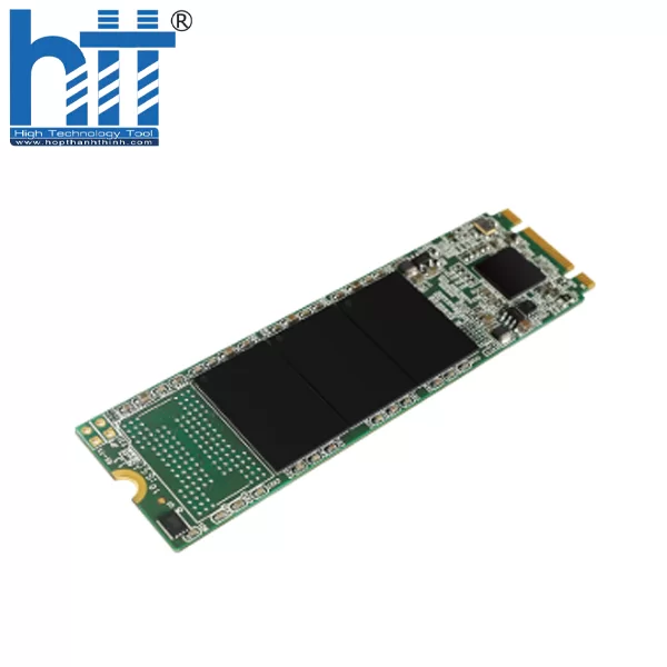 HỢP THÀNH THỊNH - SSD Silicon Power M.2 2280 A55 SP256GBSS3A55M28