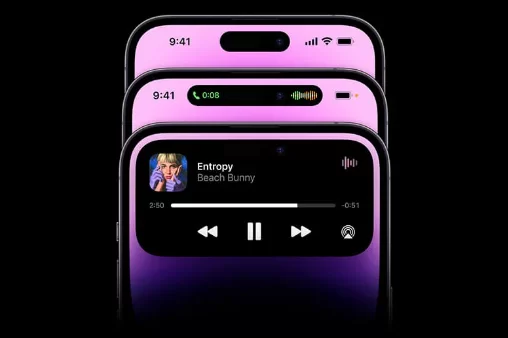 Phần notch tai thỏ được lược bỏ