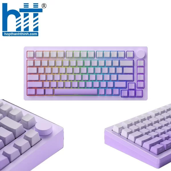 Hợp Thành Thịnh - Bàn phím MonsGeek M1W HE-SP V3