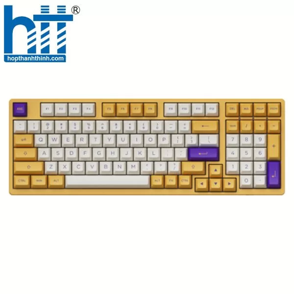 Hợp Thành Thịnh - Bàn phím cơ AKKO 3098S Los Angeles