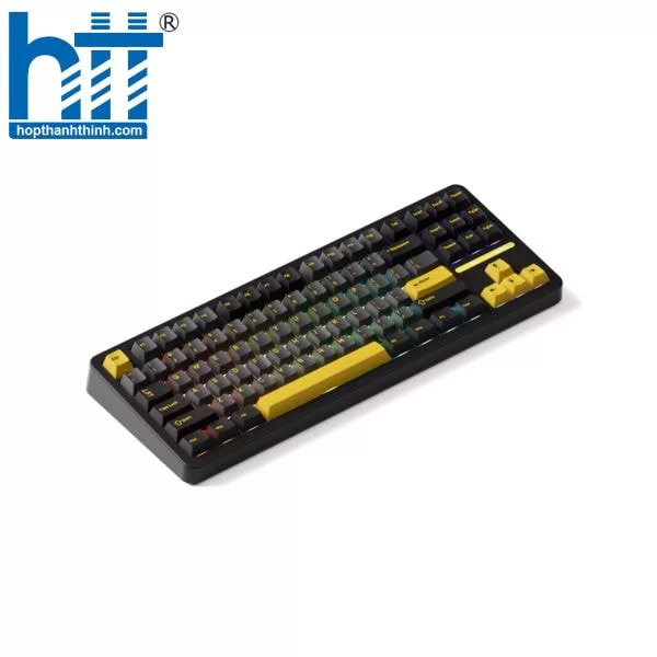 Hợp Thành Thịnh - Bàn phím cơ Akko TAC87 Black&Gold