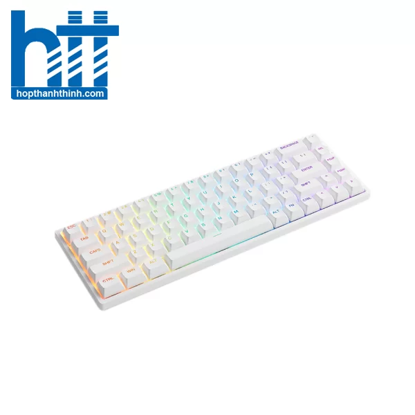 HTT - Bàn phím cơ AKKO 3068 v2 RGB - White (Hotswap - RGB - Akko CS switch Jelly Purple)