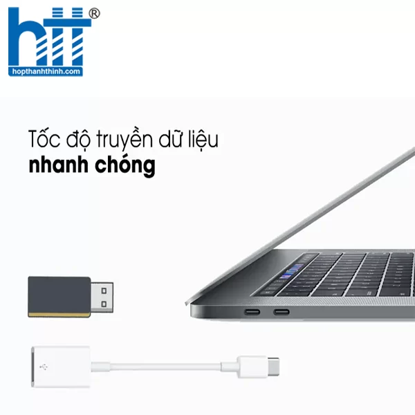 HỢP THÀNH THỊNH - Cáp chuyển đổi USB sang Type C MJ1M2ZP/A