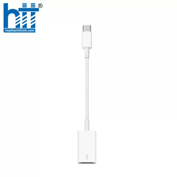 HỢP THÀNH THỊNH - Cáp chuyển đổi USB sang Type C MJ1M2ZP/A