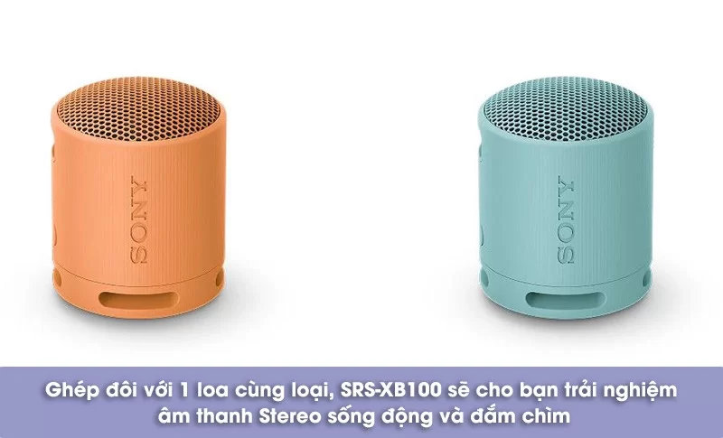 giá của loa bluetooth sony srs xb100