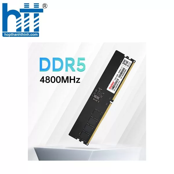 Hợp Thành Thịnh - Kingspec 16GB DDR5 4800 PC
