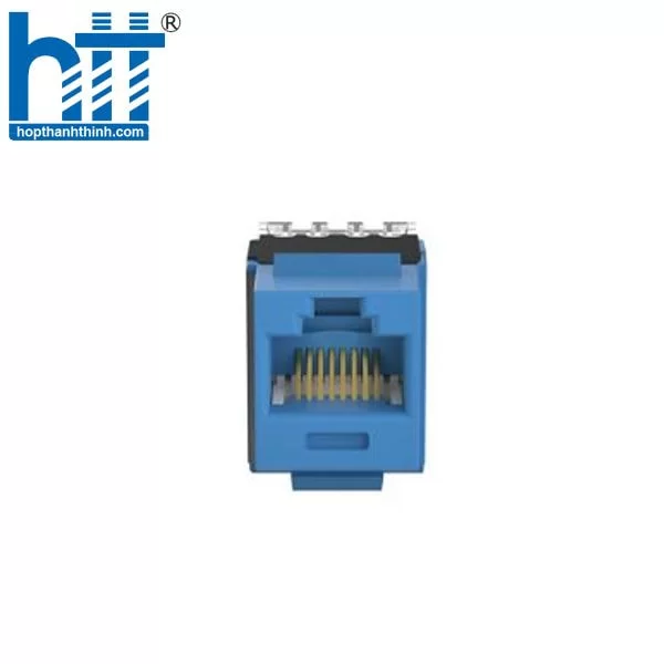 Hợp Thành Thịnh - Nhân Mạng RJ45 Cat 6A U/UTP Panduit