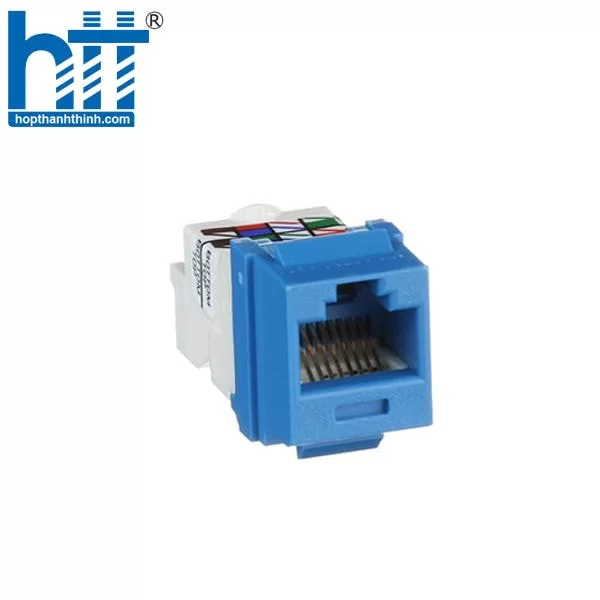 Hợp Thành Thịnh - Nhân mạng cat6 Panduit