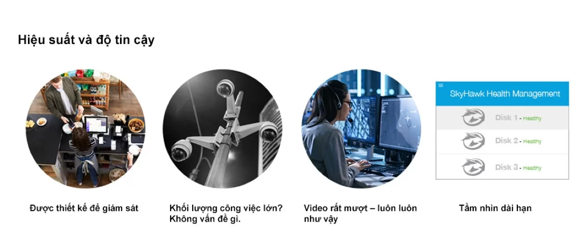Ổ cứng HDD Seagate SkyHawk 4TB