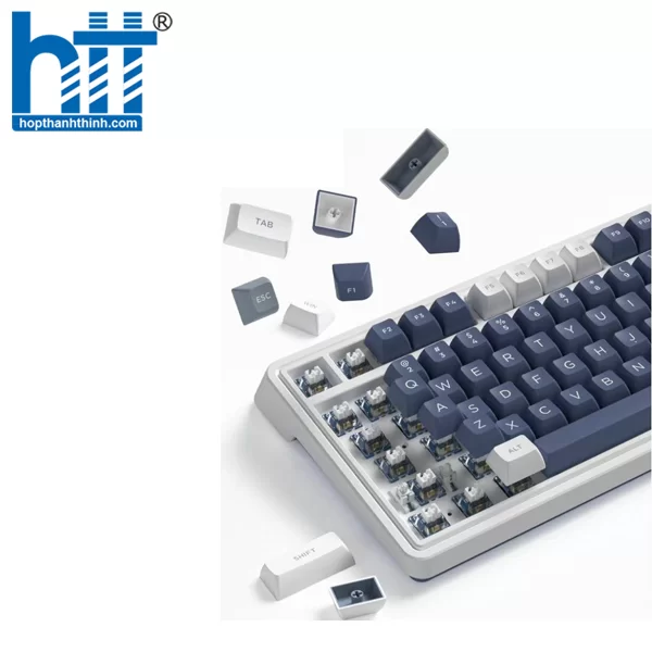 HỢP THÀNH THỊNH - Bàn phím cơ FL-Esports CMK99SAM Ice Blue 3 Mode TTC Speed Silver V2