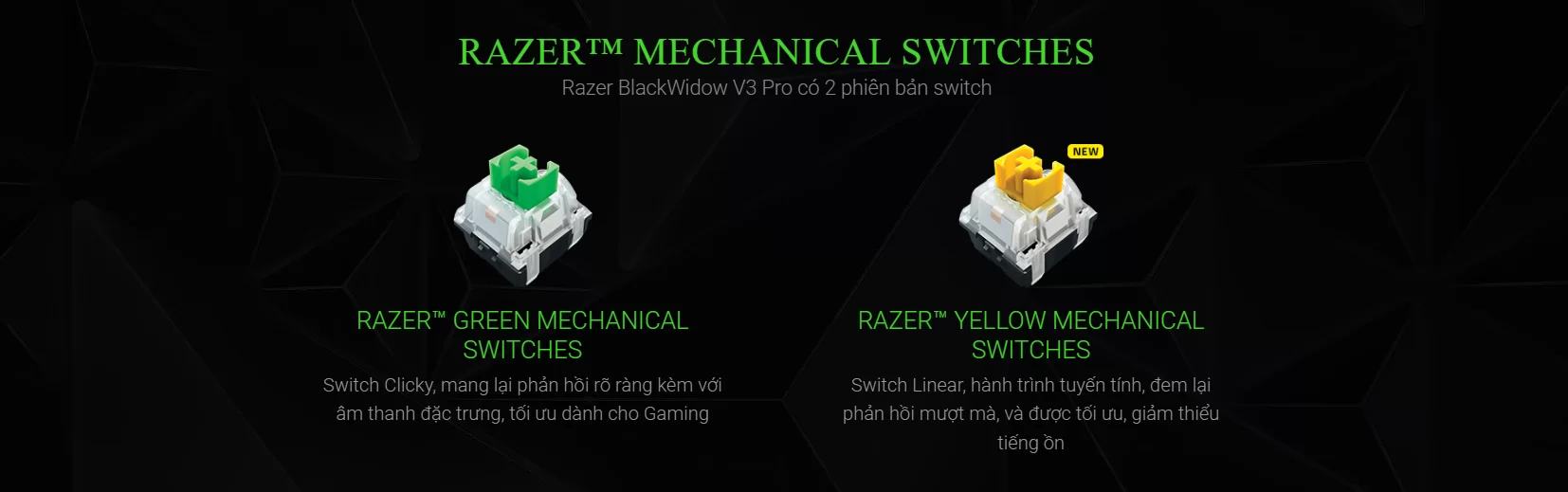 Bàn phím cơ gaming không dây Razer BlackWidow V3 Pro - Yellow Switch 5