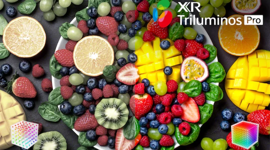 Công nghệ hình ảnh - Google Tivi Sony 4K 55 inch XR - 55X90K Công nghệ hình ảnh - Google Tivi Sony 4K 55 inch XR - 55X90K