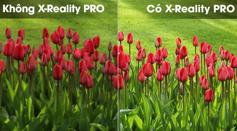 Tivi Sony 32 inch KDL-32W610G - X-reality pro