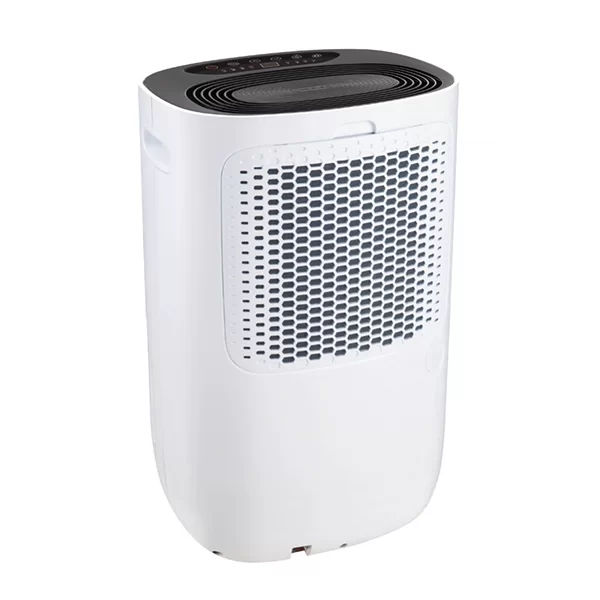 Máy hút ẩm dân dụng kèm lọc không khí FujiE HM-920E