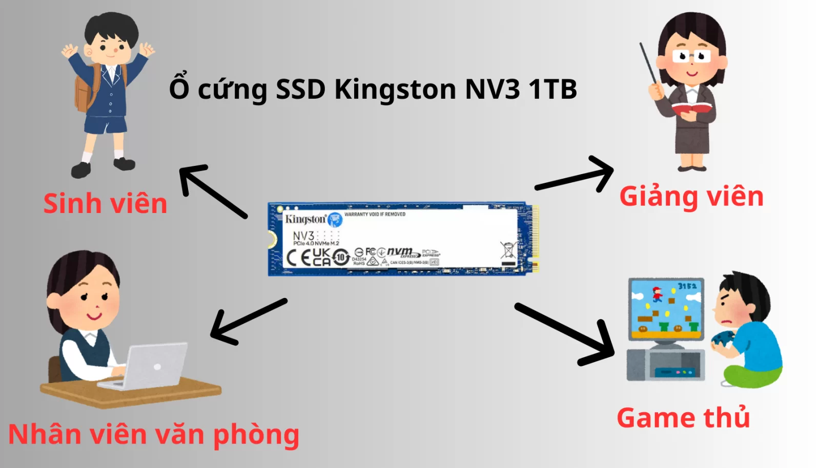 HTT - Ổ cứng SSD Kingston SNV3S 1TB NVMe M.2 2280 PCIe Gen 4x4 (Đọc 6000MB/s - Ghi 4000MB/s) - (SNV3S/1000G)