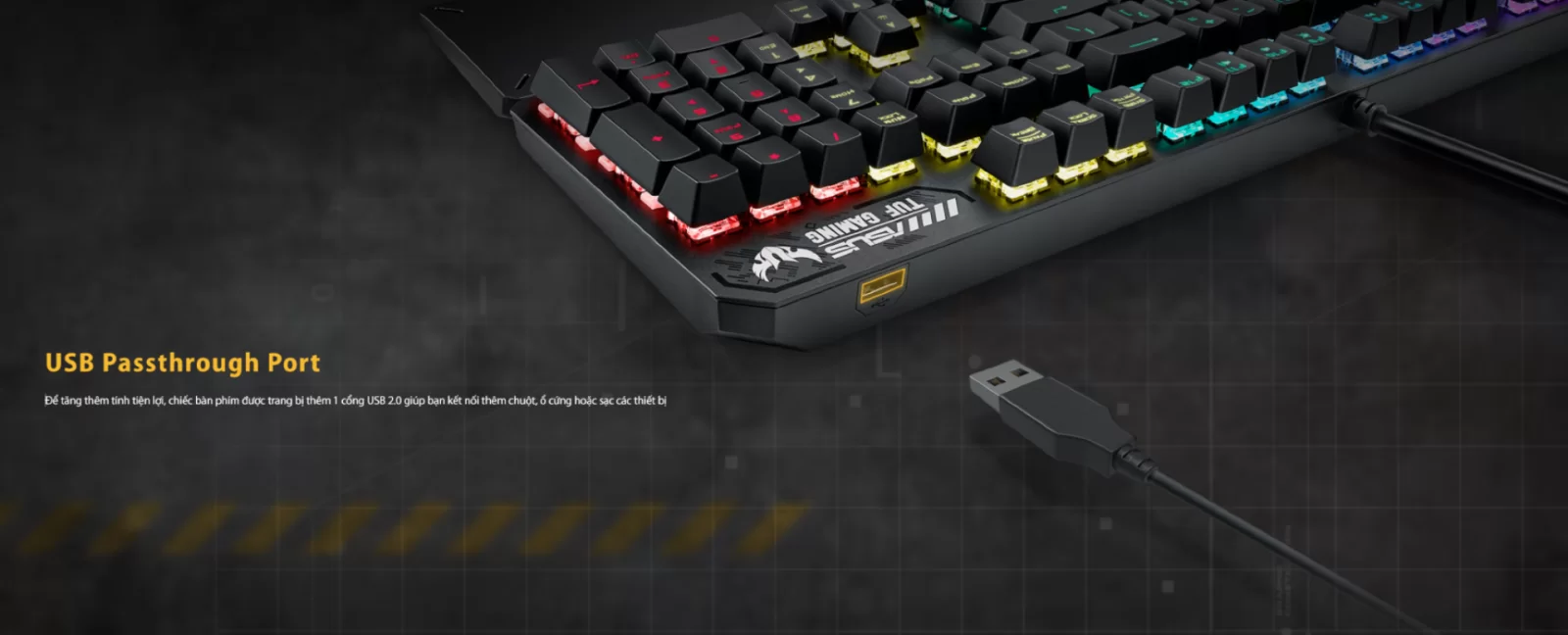 Hợp Thành Thịnh - Bàn phím Asus TUF Gaming K3