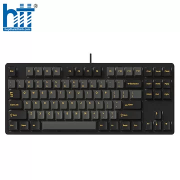 BÀN PHÍM CƠ GAME EDRA EK387FL RGB POLAR NIGHT YELLOW SW (USBC/PBT)