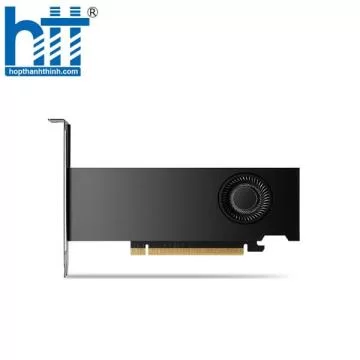 Card màn hình NVIDIA RTX 2000 ADA 16GB GDDR6