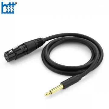 Ugreen 20721 5M màu Đen Cáp âm thanh 6.5mm sang cannon âm AV131 20020721