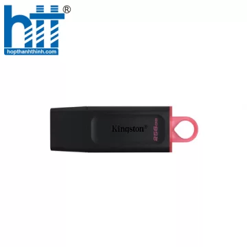 USB Kingston DTX 256Gb USB3.2