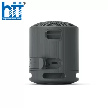 Loa Bluetooth di động Sony SRS-XB100, pin 16h, chống nước IP67 Black
