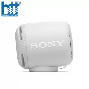 Loa Sony SRS-XB10 Grey