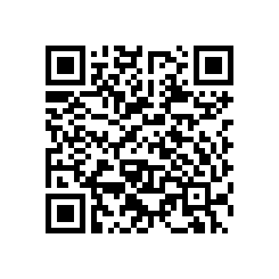 Li-poly Battery(4000mAh) Hytera BP4012